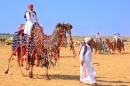 Camel Riding in Jaisalmer, India