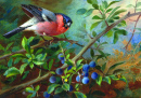 Bullfinch and Blueberries